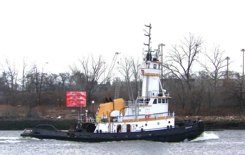 BROOKLYN General Cargo IMO 7412109 photo 9
