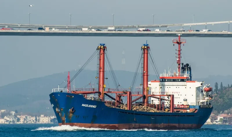 NAZLI DENIZ General Cargo IMO 7412472 photo 2