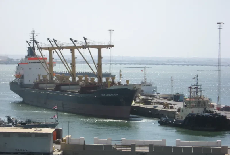 NEW LEGEND SUN General Cargo IMO 7412927