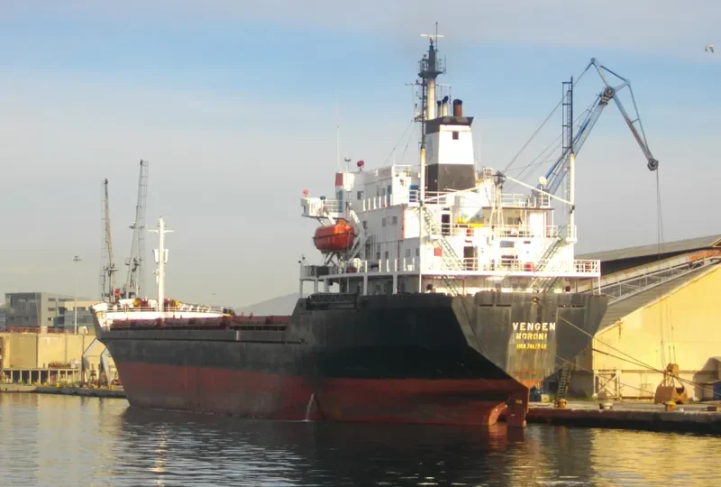 VENGEN Bulk Carrier IMO 7412953 photo 2