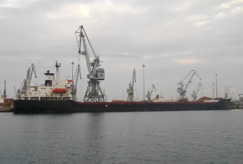 VENGEN Bulk Carrier IMO 7412953 photo 5