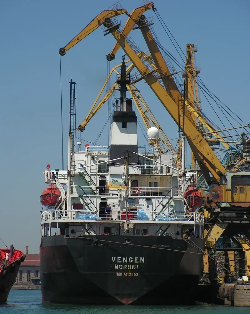 VENGEN Bulk Carrier IMO 7412953 photo 6