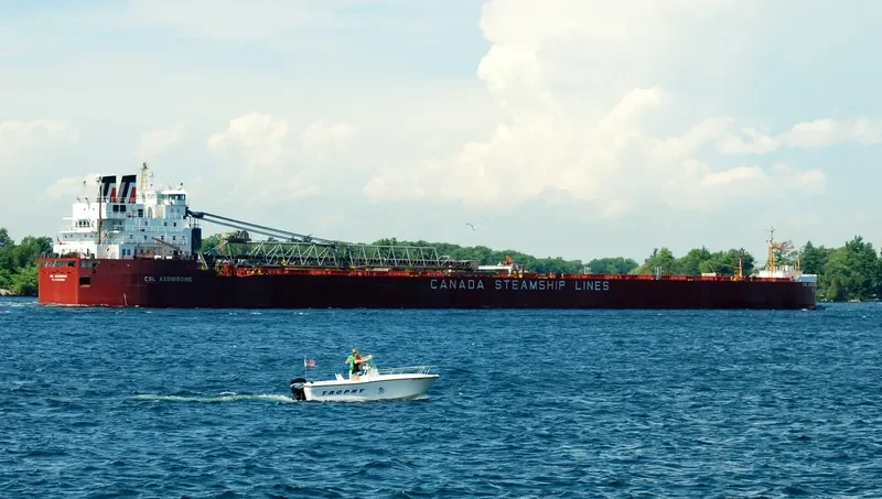 CSL ASSINIBOINE Bulk Carrier IMO 7413218 photo 3