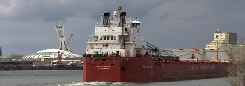 CSL ASSINIBOINE Bulk Carrier IMO 7413218 photo 9