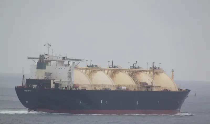 GCL General Cargo IMO 7413232 photo 4