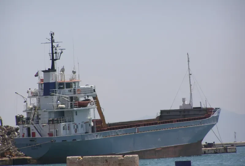 AALAAE General Cargo IMO 7413646 photo 2
