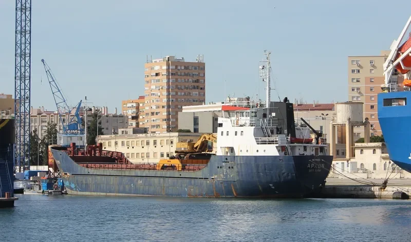 HADDAD 1 General Cargo IMO 7413921 photo 4