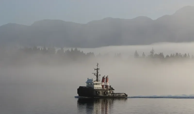 ISLAND CROWN General Cargo IMO 7414092 photo 7
