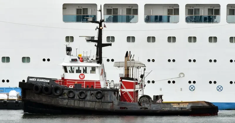 HAISEA GUARDIAN General Cargo IMO 7414107