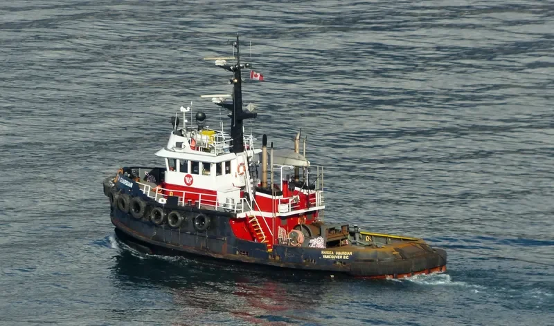 HAISEA GUARDIAN General Cargo IMO 7414107 photo 2