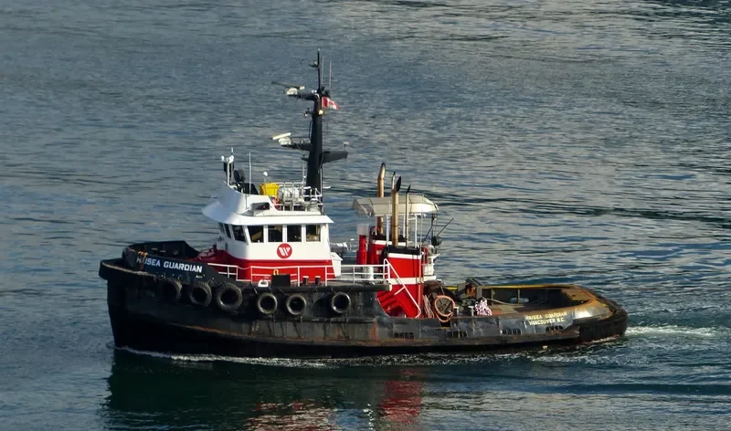 HAISEA GUARDIAN General Cargo IMO 7414107 photo 3