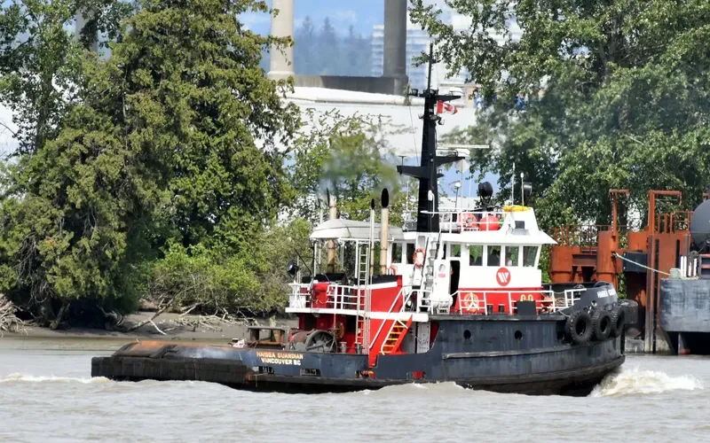 HAISEA GUARDIAN General Cargo IMO 7414107 photo 4