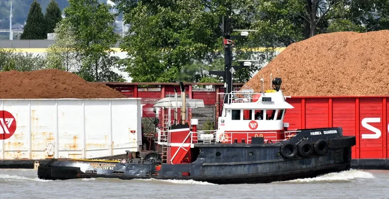 HAISEA GUARDIAN General Cargo IMO 7414107 photo 5
