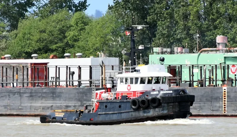 HAISEA GUARDIAN General Cargo IMO 7414107 photo 6