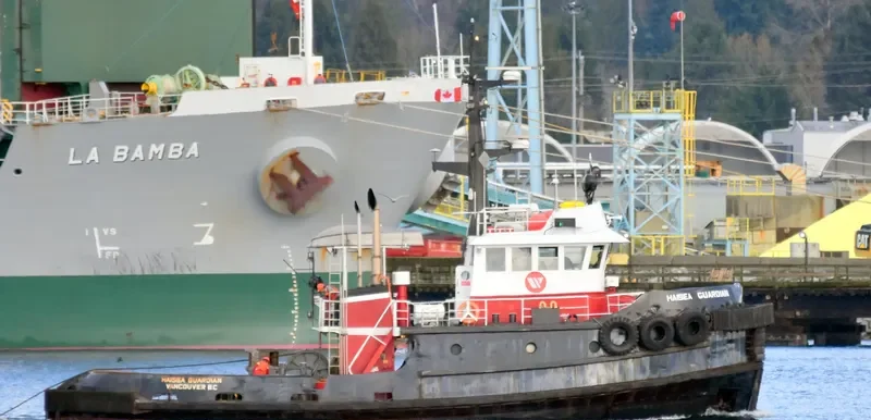 HAISEA GUARDIAN General Cargo IMO 7414107 photo 8
