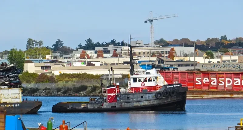 HAISEA GUARDIAN General Cargo IMO 7414107 photo 10