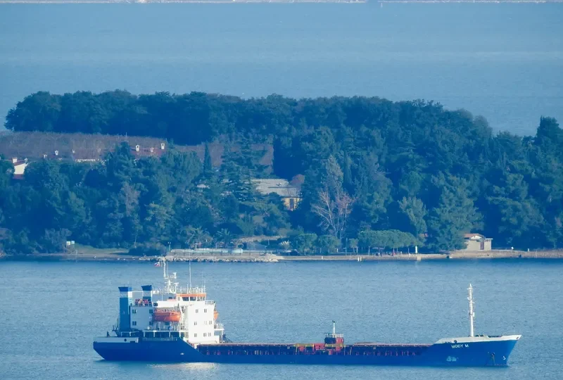 MODY M Bulk Carrier IMO 7414183 photo 2