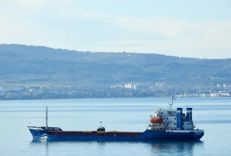 MODY M Bulk Carrier IMO 7414183 photo 3