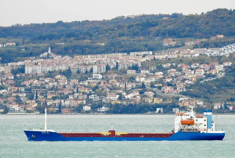 MODY M Bulk Carrier IMO 7414183 photo 4