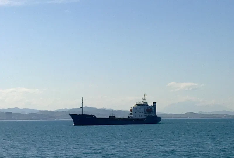 MODY M Bulk Carrier IMO 7414183 photo 8