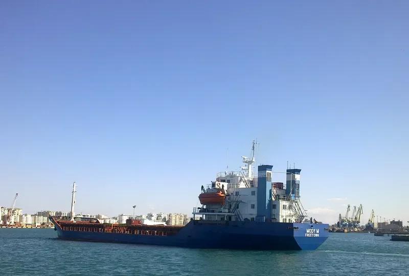 MODY M Bulk Carrier IMO 7414183 photo 9