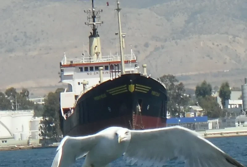 PROMITHEAS Tanker IMO 7414286 photo 4