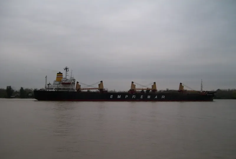 DON LEANDRO Bulk Carrier IMO 7414444