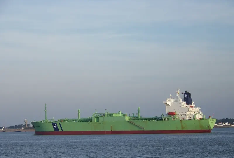 BW HEMINA General Cargo IMO 7415216 photo 2