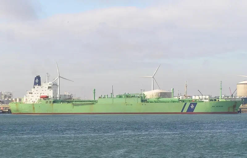 BW HEMINA General Cargo IMO 7415216 photo 3