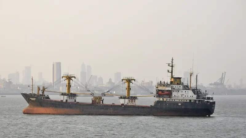 RADOMYSHL General Cargo IMO 7415527