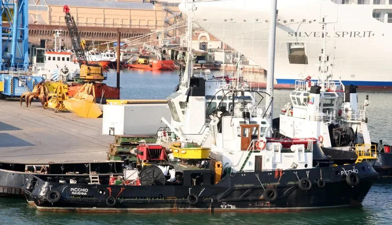 PICCHIO General Cargo IMO 7416038