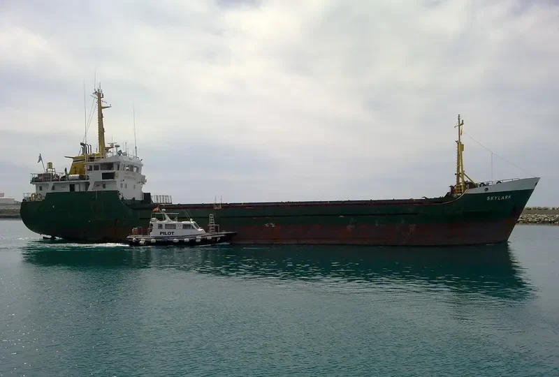 SKYLARK General Cargo IMO 7416040 photo 8