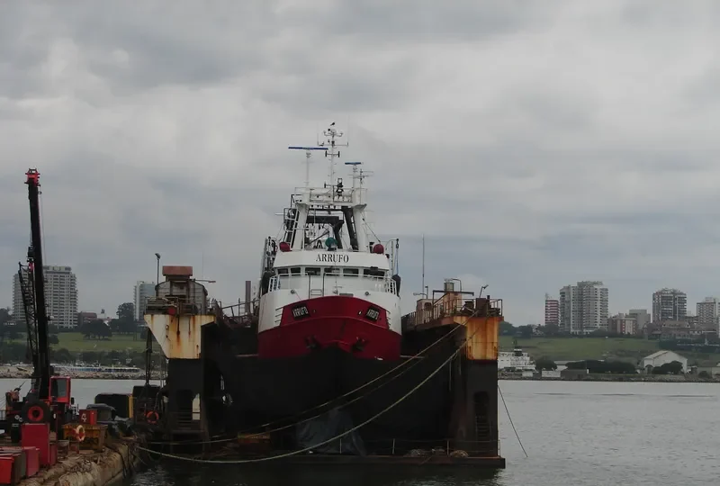 ARRUFO General Cargo IMO 7416129 photo 2