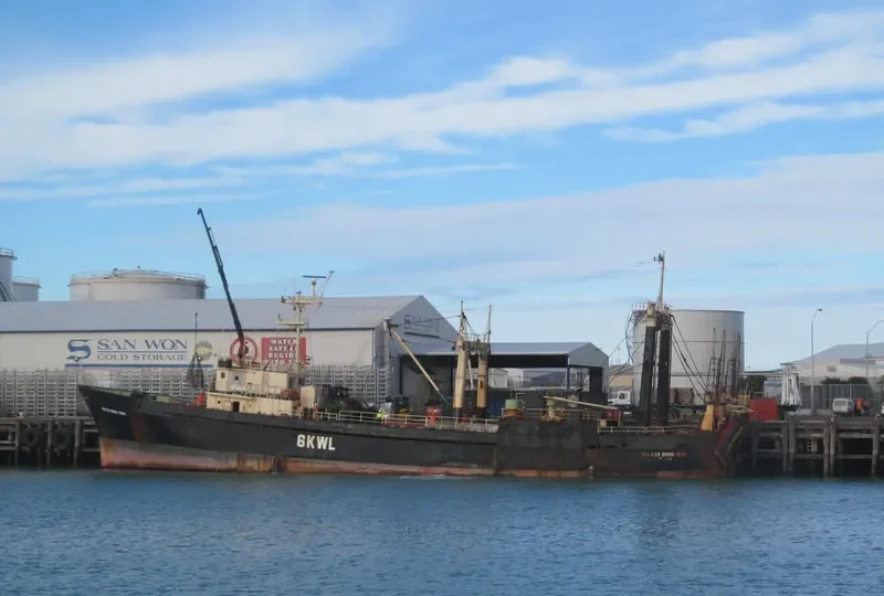 NO.519 DONG WON General Cargo IMO 7416480 photo 6