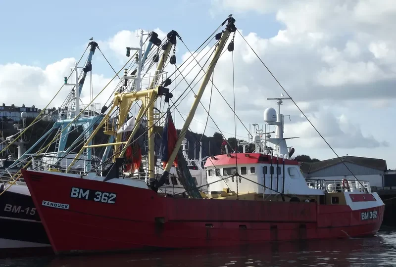 VAN DIJCK General Cargo IMO 7416791