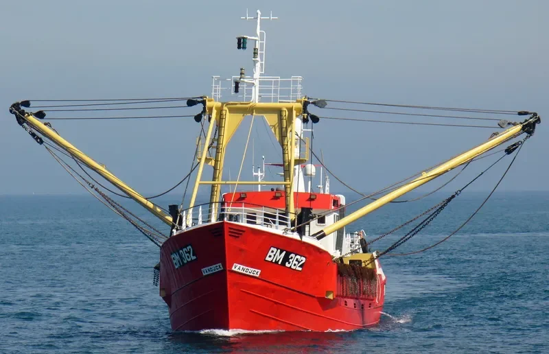 VAN DIJCK General Cargo IMO 7416791 photo 3
