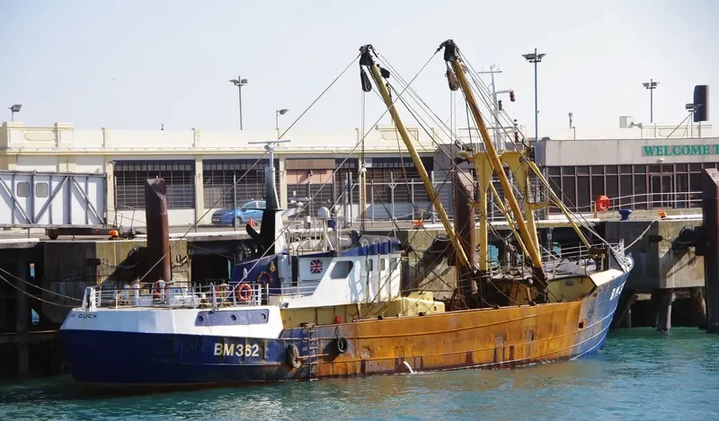 VAN DIJCK General Cargo IMO 7416791 photo 8