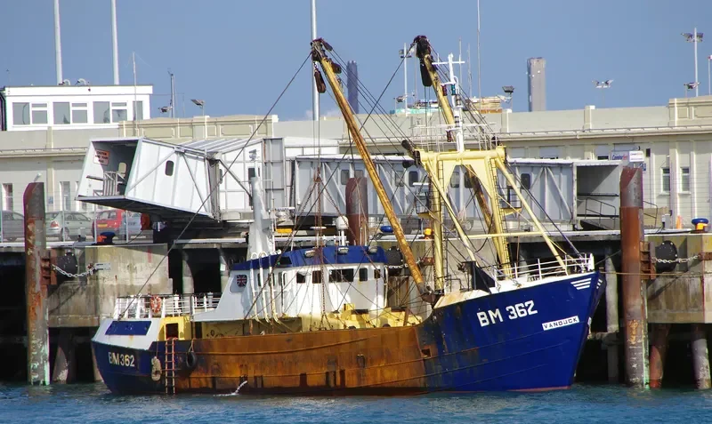 VAN DIJCK General Cargo IMO 7416791 photo 9