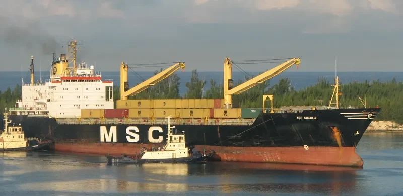MSC SHAULA Container Ship IMO 7416856 photo 2