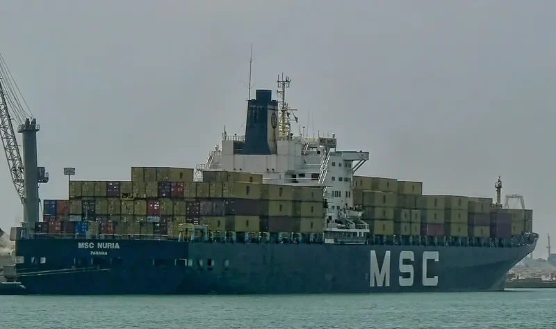 RIA Container Ship IMO 7416911 photo 2