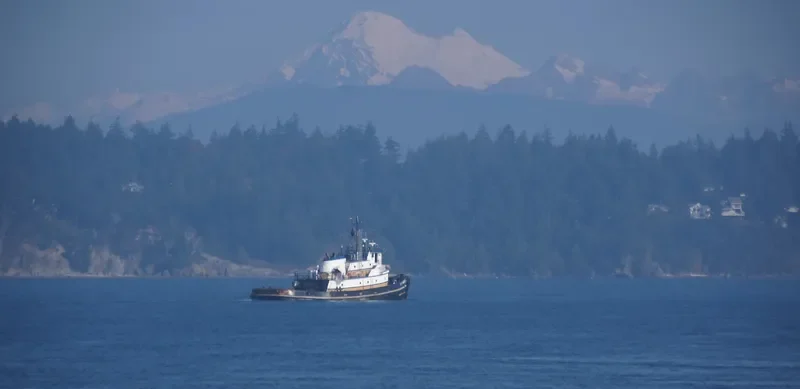 C.F.CAMPBELL Tug Boat IMO 7417379 photo 7