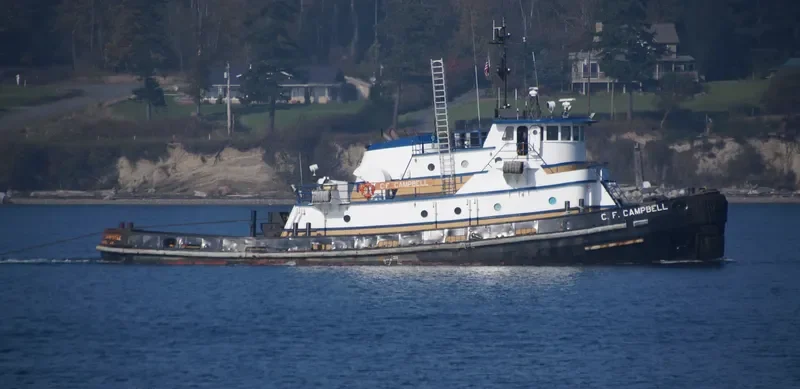 C.F.CAMPBELL Tug Boat IMO 7417379 photo 9