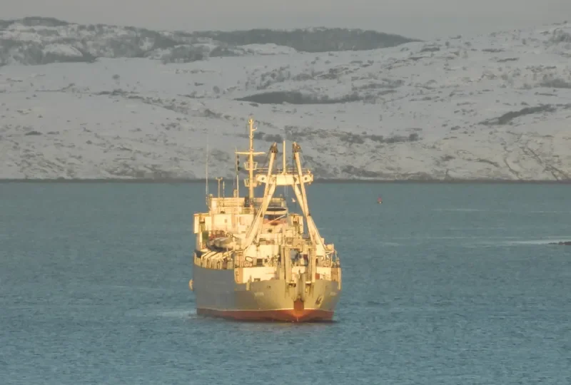 INGURI General Cargo IMO 7417484 photo 5