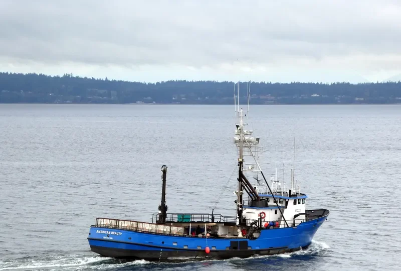 ALASKA CHIEFTAIN General Cargo IMO 7417654 photo 6