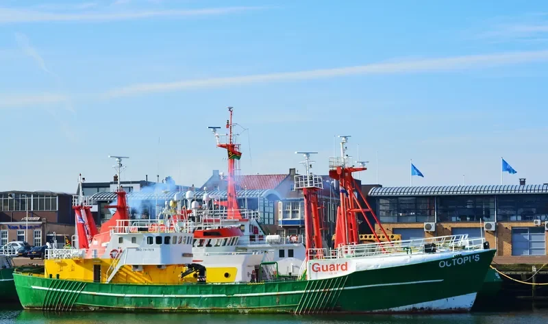 OCTOPUS GUARD VSL General Cargo IMO 7417678 photo 6
