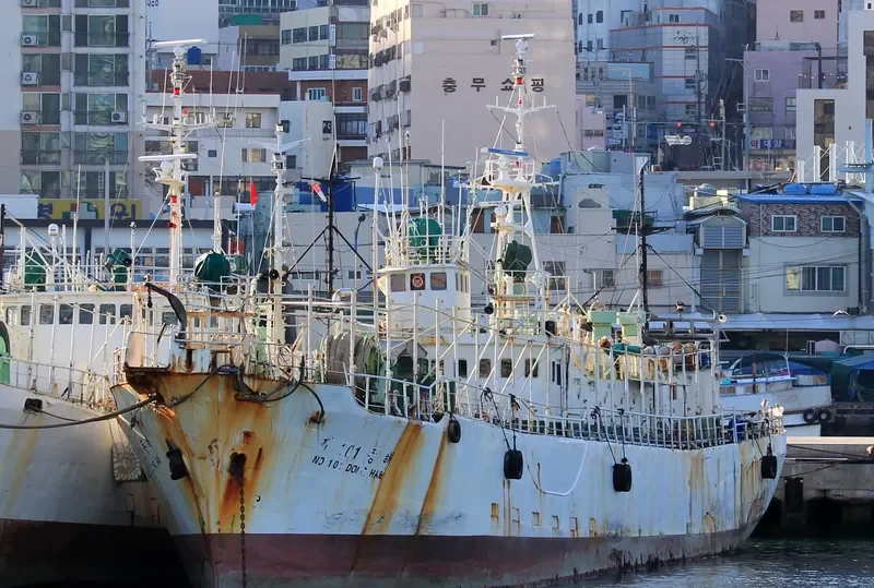 101 DONG HAE General Cargo IMO 7417862