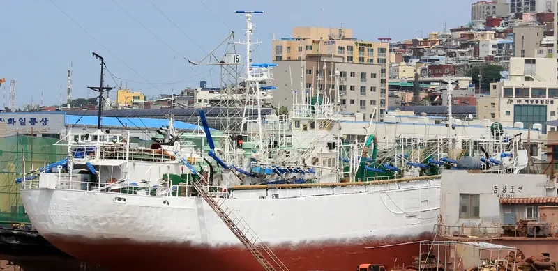 101 DONG HAE General Cargo IMO 7417862 photo 2