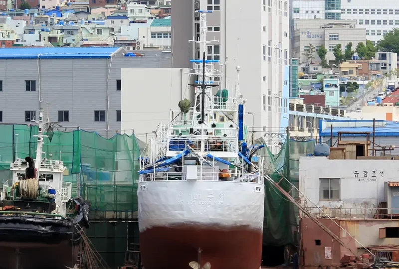 101 DONG HAE General Cargo IMO 7417862 photo 3