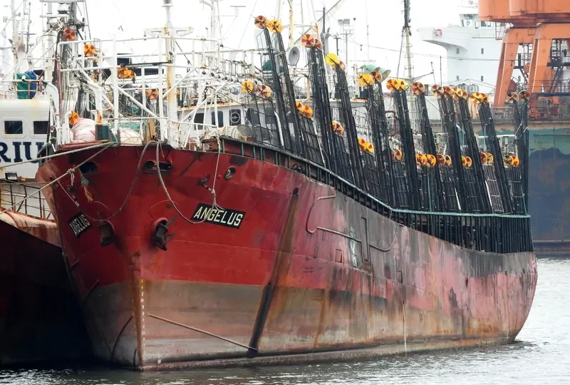 ANGELUS General Cargo IMO 7417927