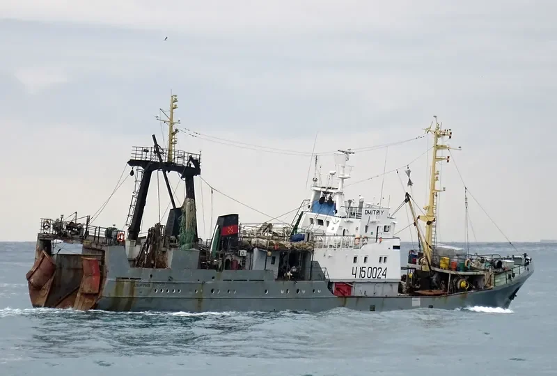 DMITRIY General Cargo IMO 7418725 photo 2